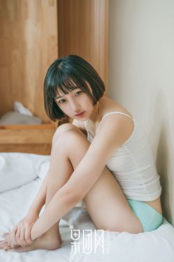 新寡妇村传奇